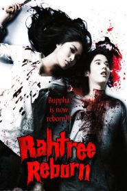 Rahtree: Đầu Thai