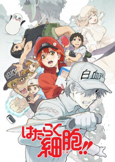 Hataraku Saibou Phần 2