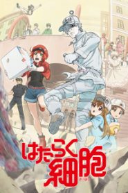 Hataraku Saibou Phần 1