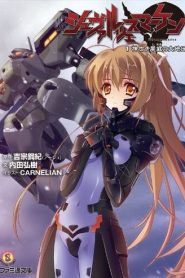 Hạm Đội Schwarzesmarken